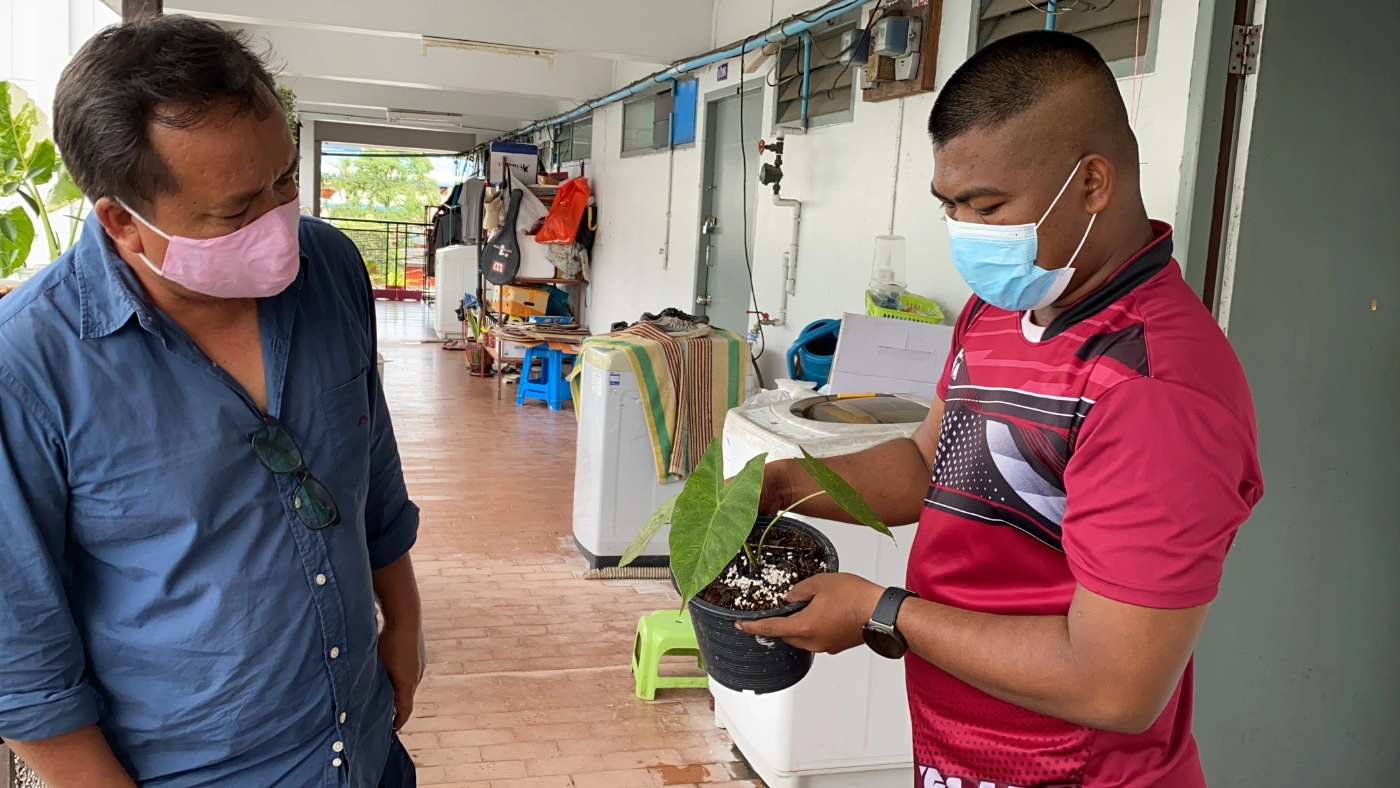 ควักเงินแสนลงทุนเพาะเลี้ยงไม้ด่าง 7 วันคืนทุน