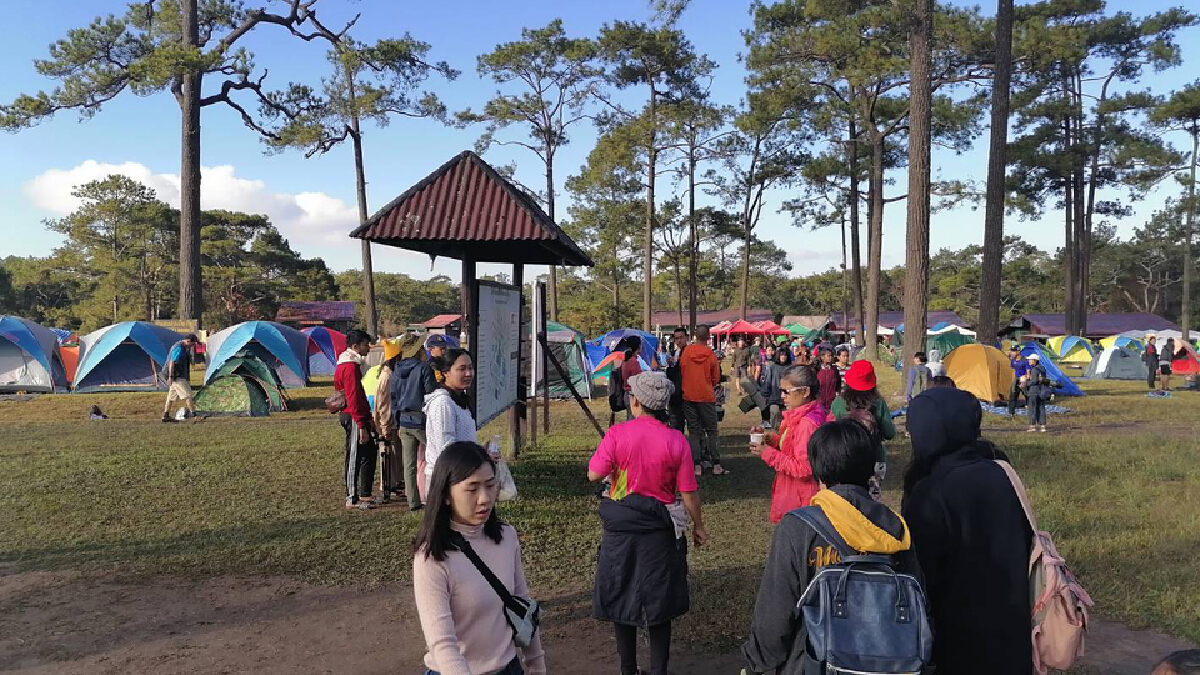 นักท่องเที่ยวกว่า 500 คน เดินขึ้นบนยอดภูกระดึงวันแรกรับเทศกาลท่องเที่ยว