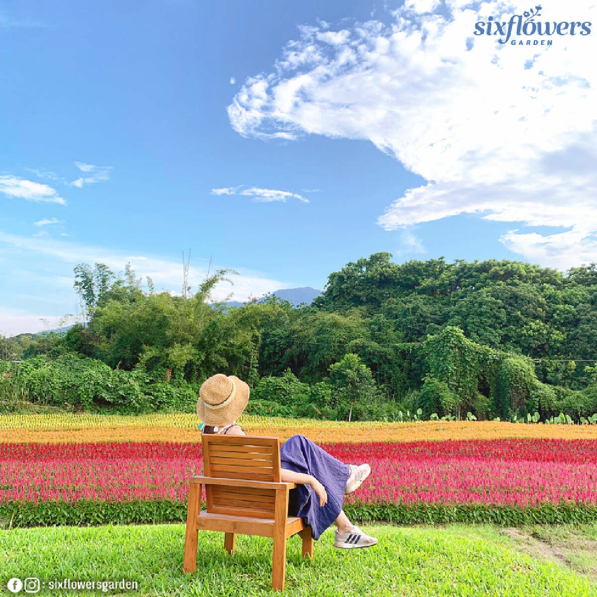 เนชั่นพาทัวร์ 10 แลนด์มาร์คฝ่าลมหนาวแอ่วเชียงใหม่