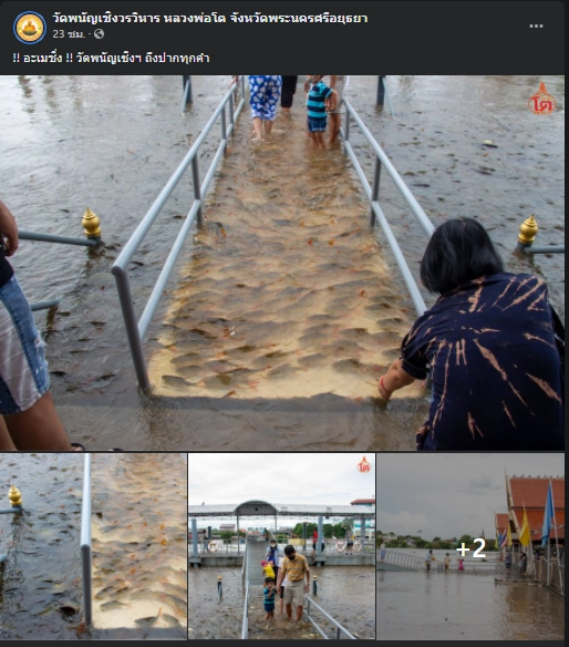 เฟซบุ๊ก วัดพนัญเชิงวรวิหาร หลวงพ่อโต จังหวัดพระนครศรีอยุธยา