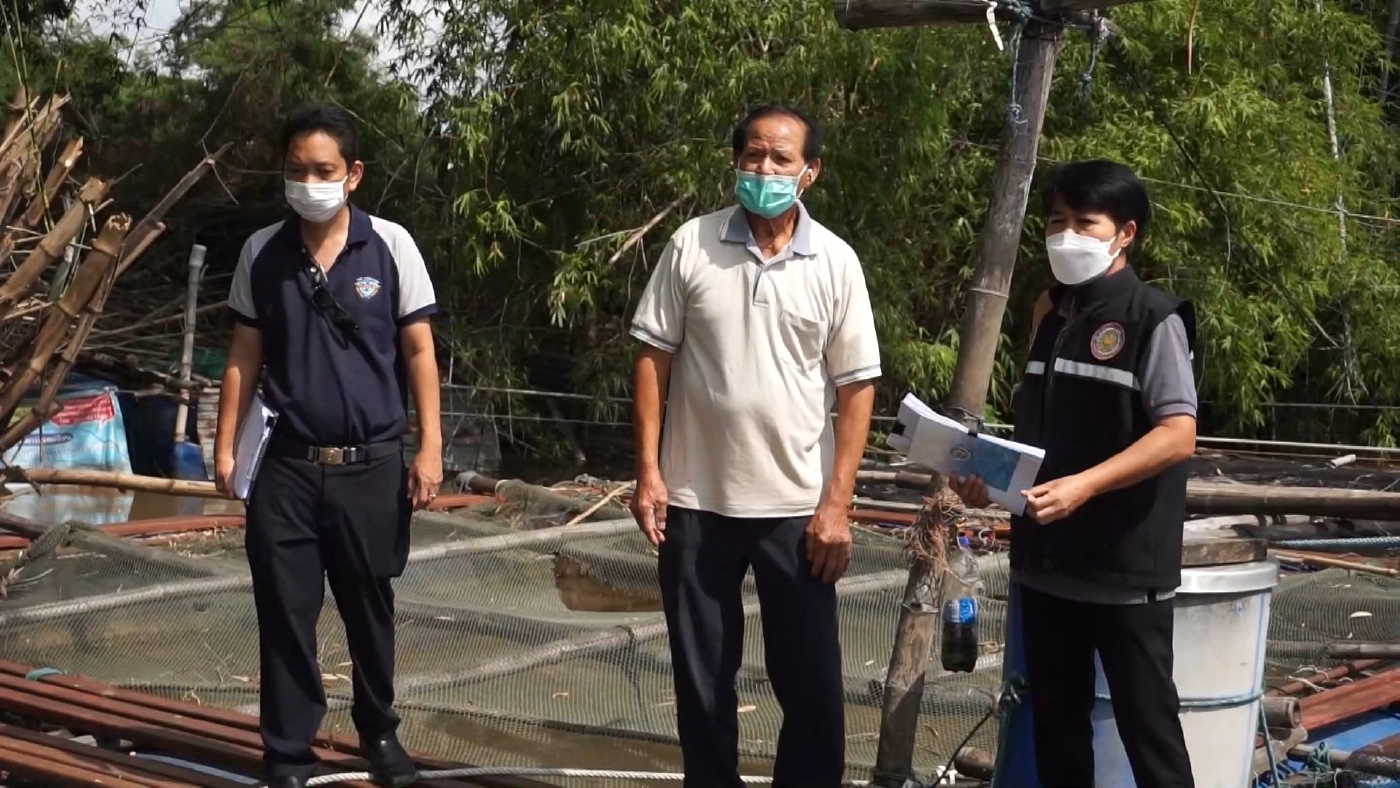 เตรียมเยียวยาผู้เลี้ยงปลากระชังในน้ำเจ้าพระยา หลังปลาน็อคน้ำตาย