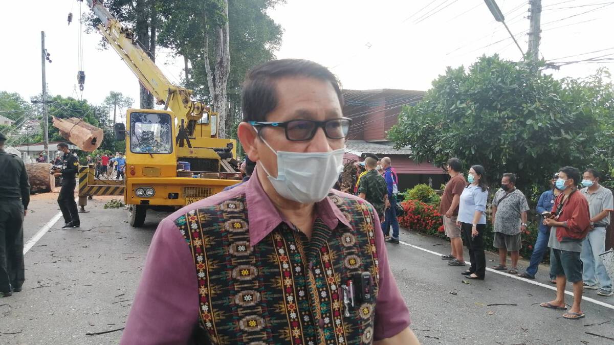 ที่สุดในประวัติศาสตร์! ต้นยางนาโค่นทับบ้านพังหลายสิบหลัง