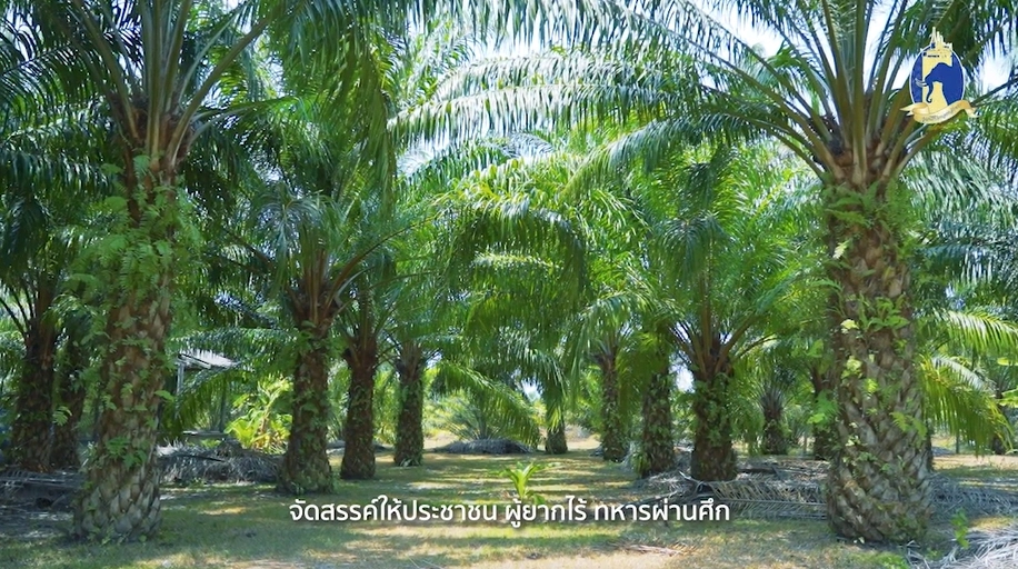 ในหลวง ร ๙ ในความทรงจำ : “สมาน ผ่านพรม" ผู้ต่อยอดโครงการของพ่อ