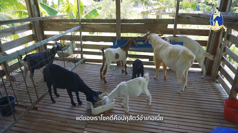ในหลวง ร ๙ ในความทรงจำ : สุนีย์ ชุมนพรัตน์ น้อมนำเศรษฐกิจพอเพียง