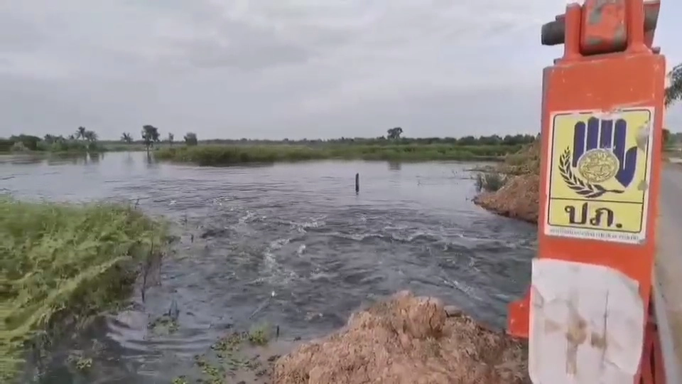 กู้ภัยนำเรือขนฟางช่วยควายติดน้ำท่วม