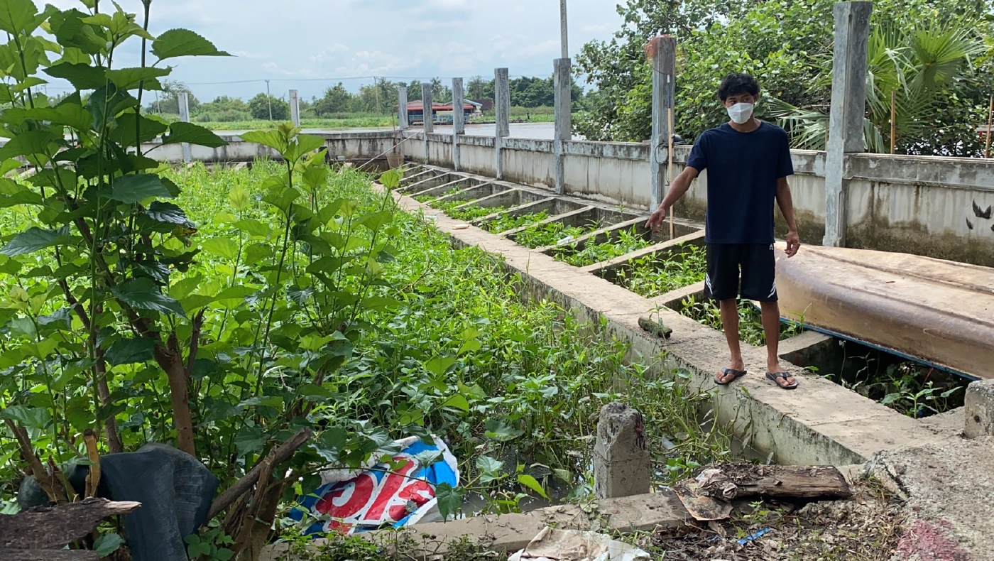 พบน้องหมาพุดเดิ้ล ลอยมากับสวะ สงสัยเป็นตัวที่หายจากเหตุเรือล่ม