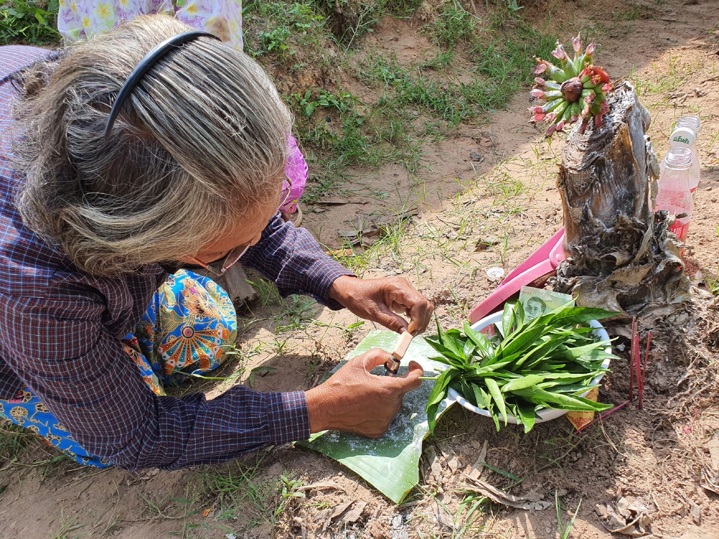 ฮือฮาแห่ส่องกล้วยประหลาด แม่น้ำหนึ่งหลบไปแม่ตานีมาแล้ว