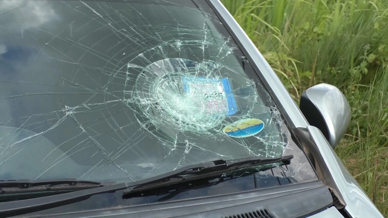 ลุงจูงวัวเลี้ยงข้างถนนวัวตกใจเสียงรถลากข้ามฝั่งก่อนถูกชนดับ