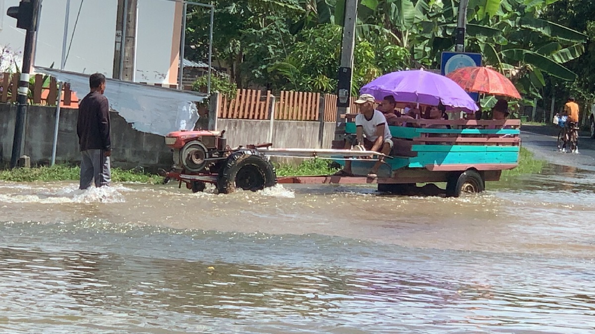 เกษตรกรระทมน้ำท่วมรอบสอง นาข้าวเป็นทะเล