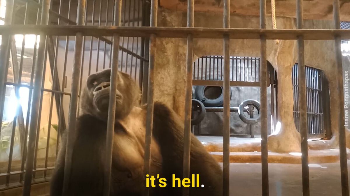 ภาพ : YT/Peta Asia