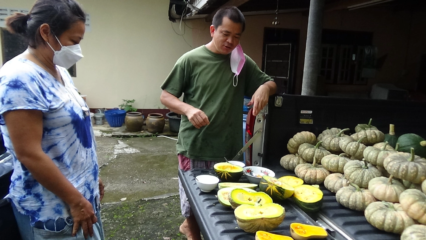 โค่นยางทิ้งปลูกพืชหมุนเวียนระยะสั้นผสมผสานขาย