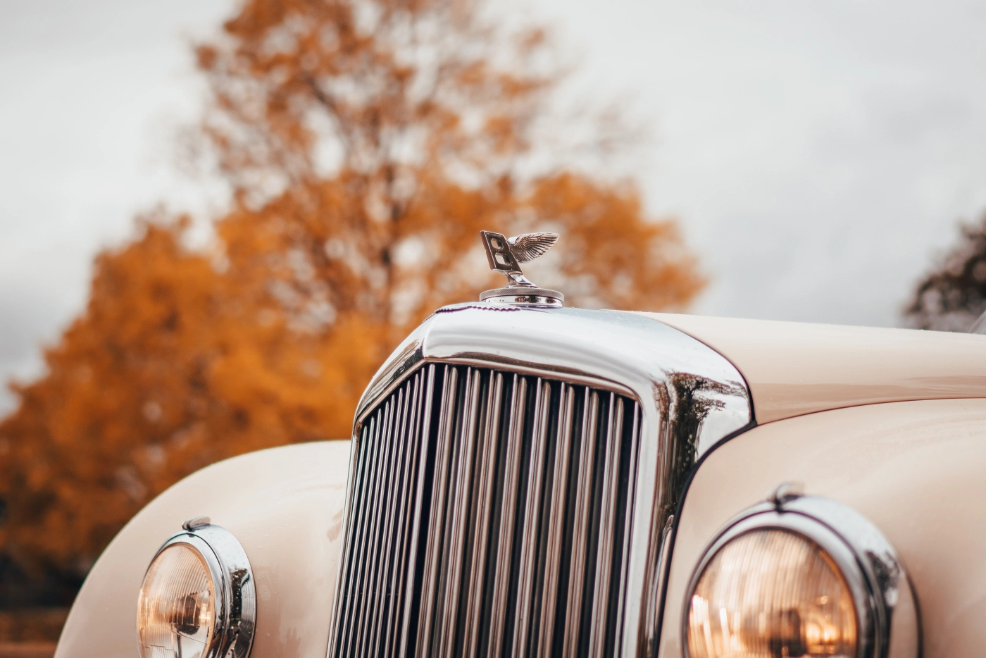 เดอะ คอนติเนนทัล จีที กับความสำเร็จกว่าครึ่งทศวรรษที่คอรถต้องไม่พลาด