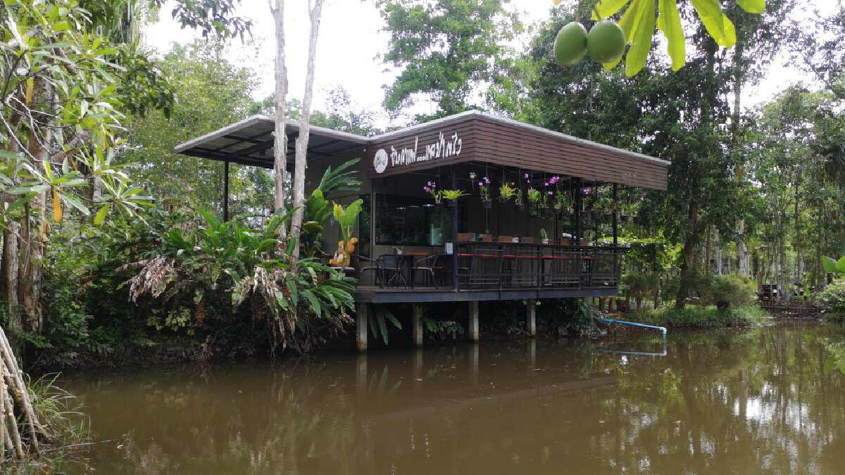กินเจไม่จำเจหลากเมนู คาเฟ่ป่าในเมืองตรัง