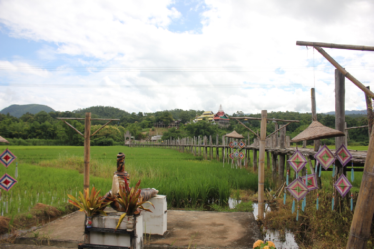 เมืองสามหมอกคึกคักนักเที่ยวไทยแห่สัมผัสลมหนาว