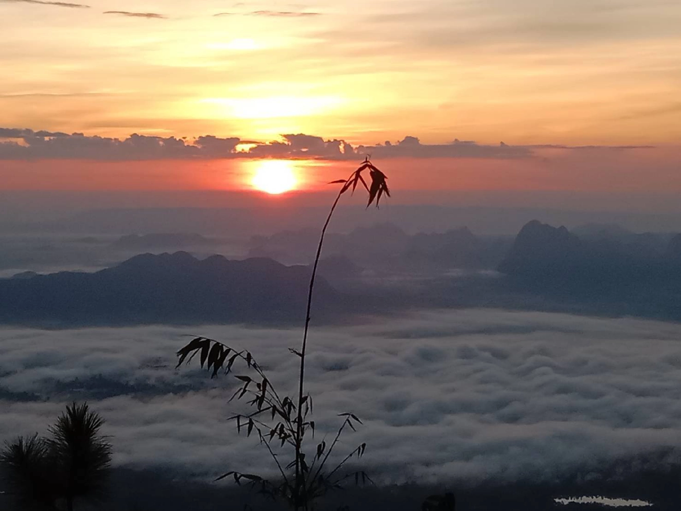 นักท่องเที่ยวจองแน่นที่พักแรมบนยอดภูกระดึง