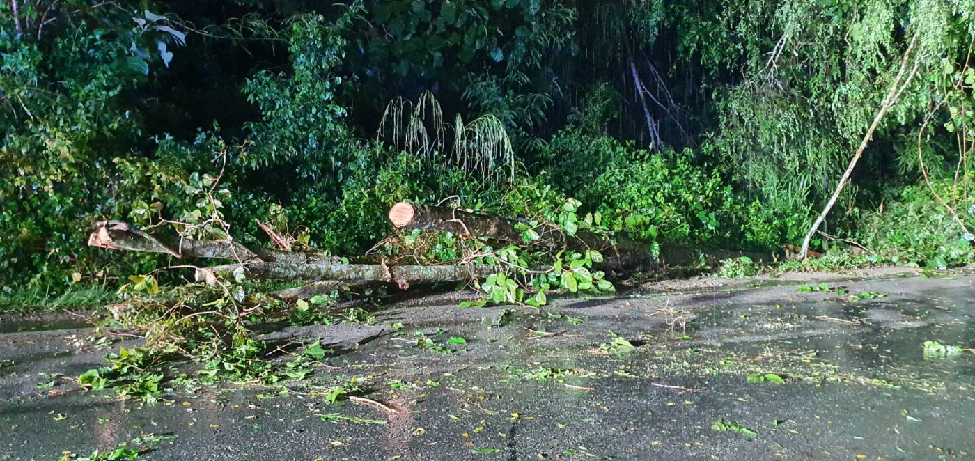พายุถล่มต้นไม้ล้มขวางถนนสายเชียงใหม่-พร้าว