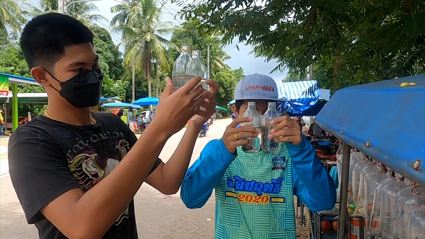 ‘ปลาสวยงาม‘ สร้างรายได้กว่า 3 หมื่น/เดือน