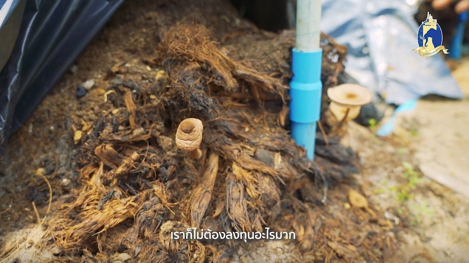 ในหลวง ร ๙ ในความทรงจำ : “สมาน ผ่านพรม" ผู้ต่อยอดโครงการของพ่อ