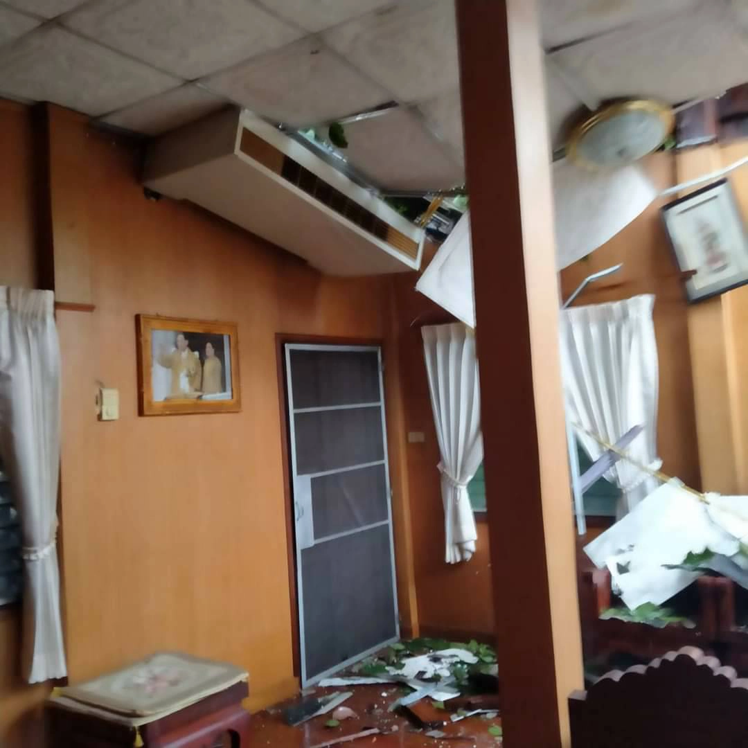 ต้นยางนายักษ์ที่สารภีเชียงใหม่หักโค่น