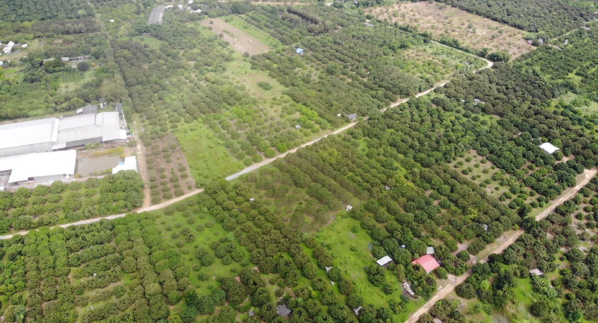 บจธ.ลงพื้นที่นำร่องธนาคารที่ดินที่ไร่ดง ป่าซาง ลำพูน-เชียงใหม่