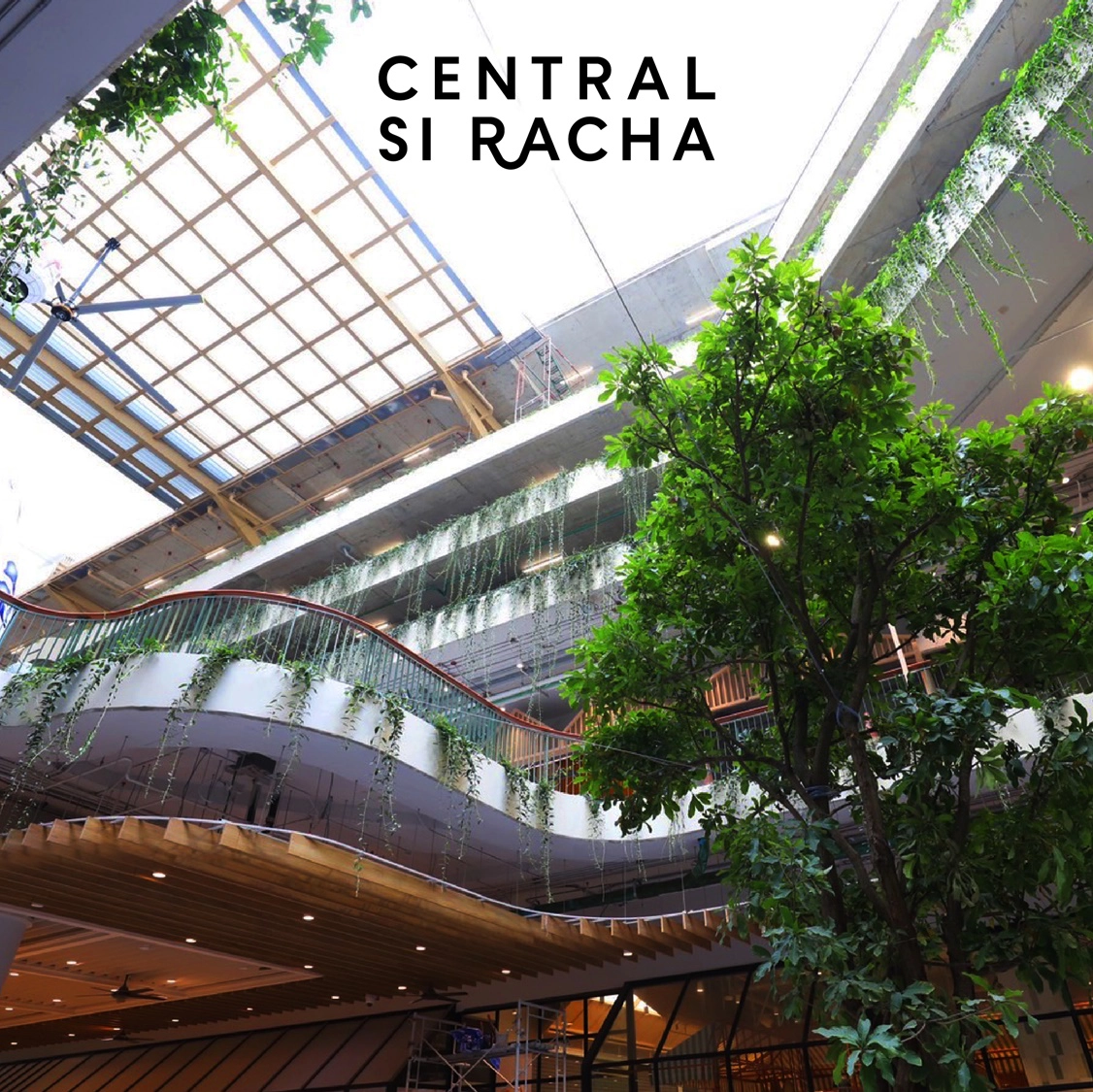 CPN ทุ่ม 4.2 พันล้าน ผุด “เซ็นทรัล ศรีราชา”