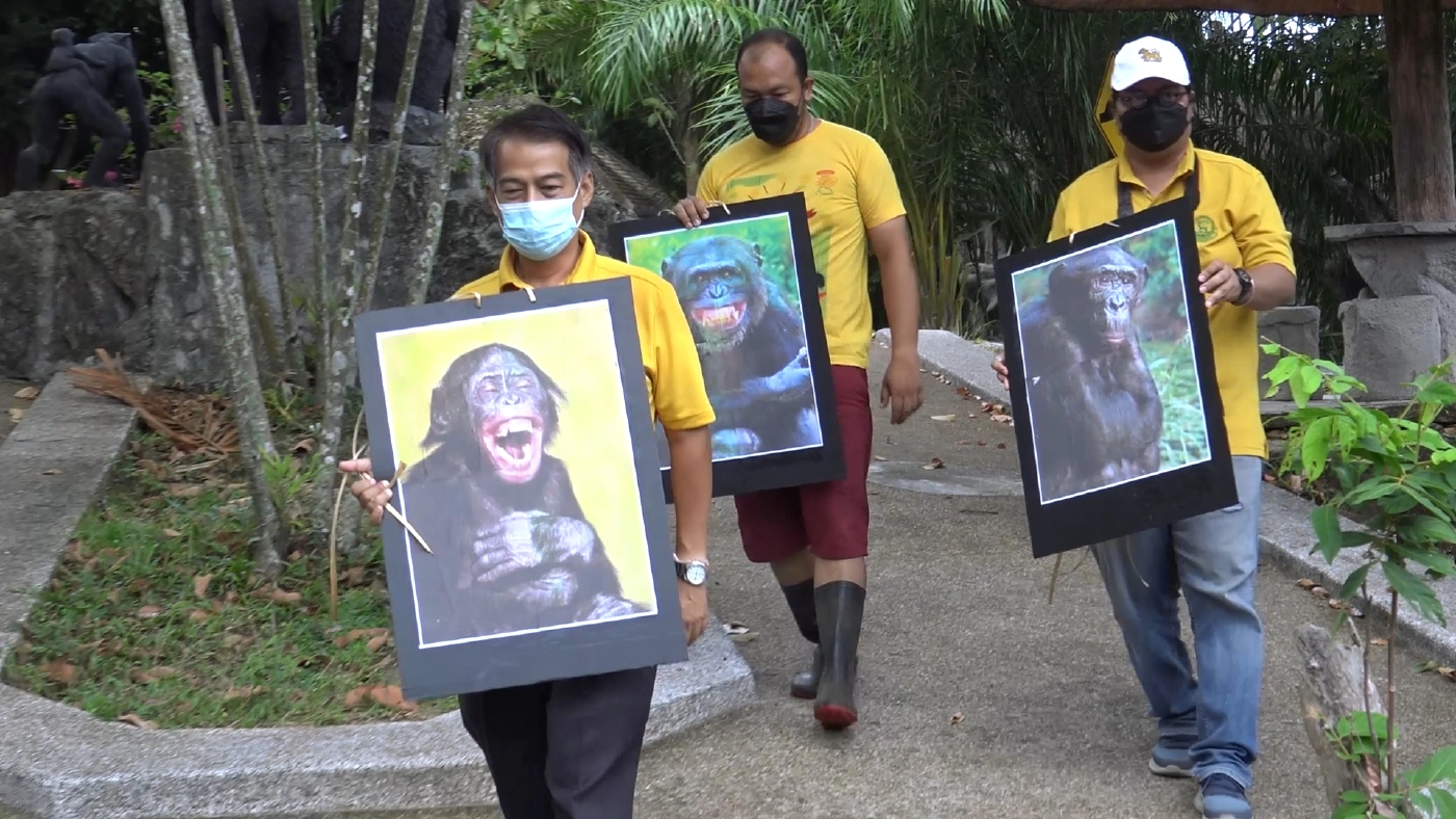 จัดหาคู่ให้เจ้าจ้อนลิงหนุ่มแสนรู้สู่ขอเป็นคู่ครอง