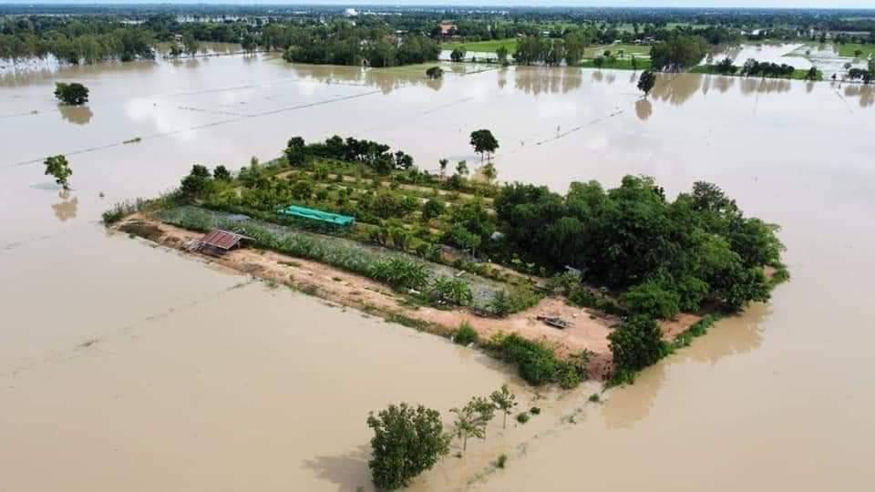 "แปลงโคก หนอง นา"เดินตามรอยพ่อหนึ่งเดียวในสุโขทัย ฝ่าวิกฤตรอดพ้นจมบาดาล