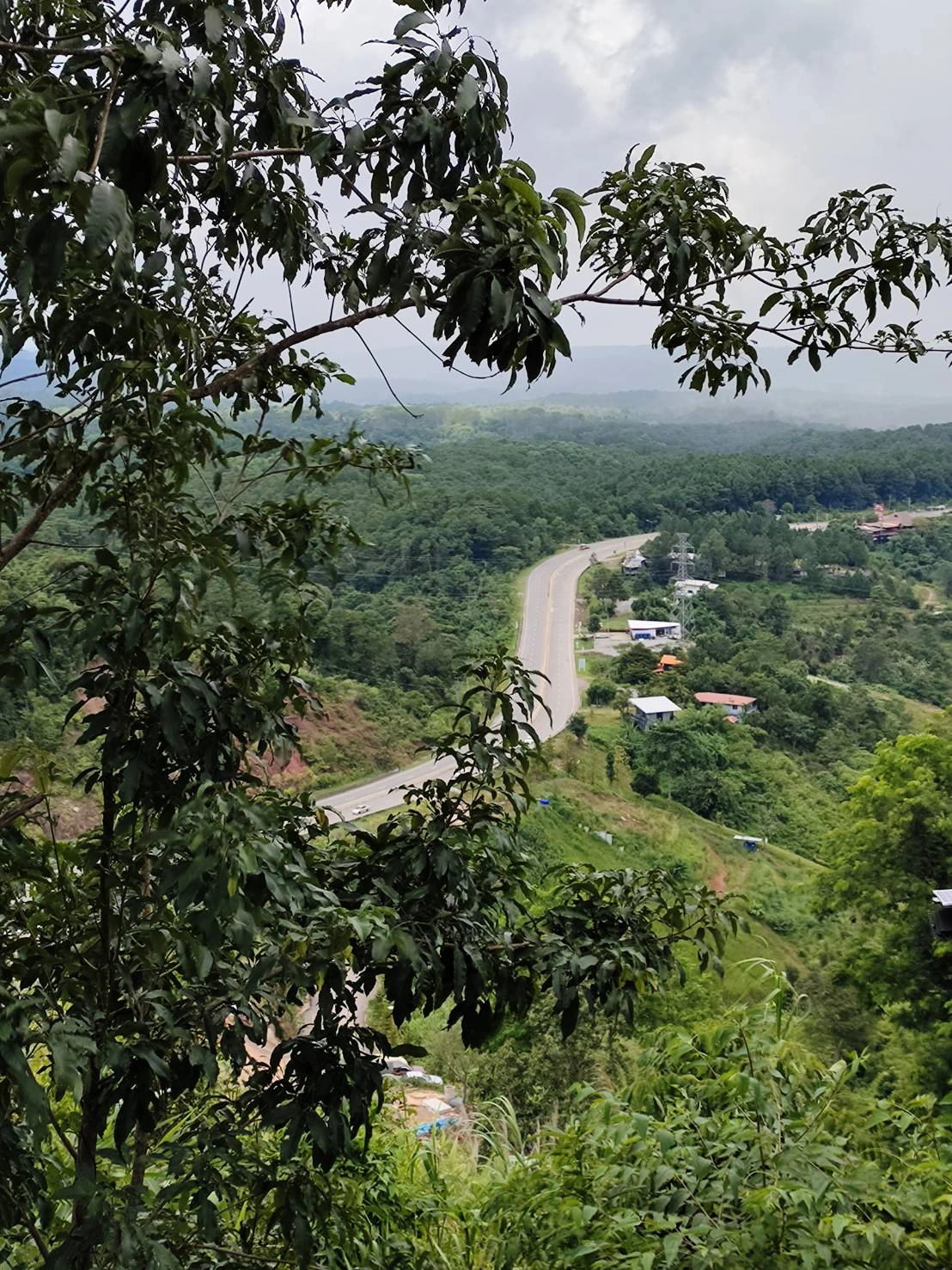 จี้สอบธนารักษ์พื้นที่เพชรบูรณ์ นำพื้นที่ป่าต้นน้ำปล่อยเช่า