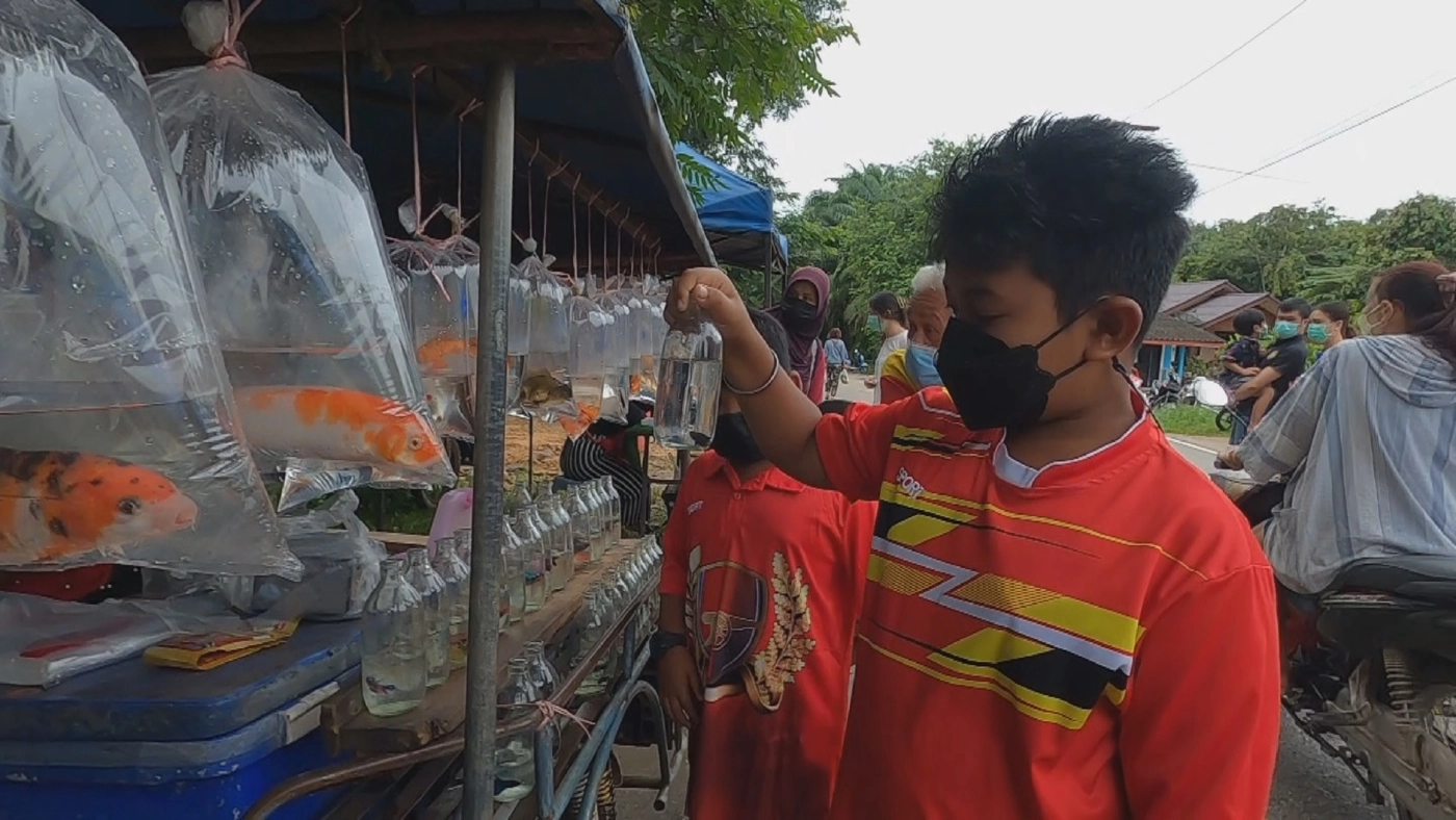 ขับรถสามล้อพ่วงขายปลาสวยงาม สร้างรายได้ต่อวันไม่ต่ำกว่าพันบาท