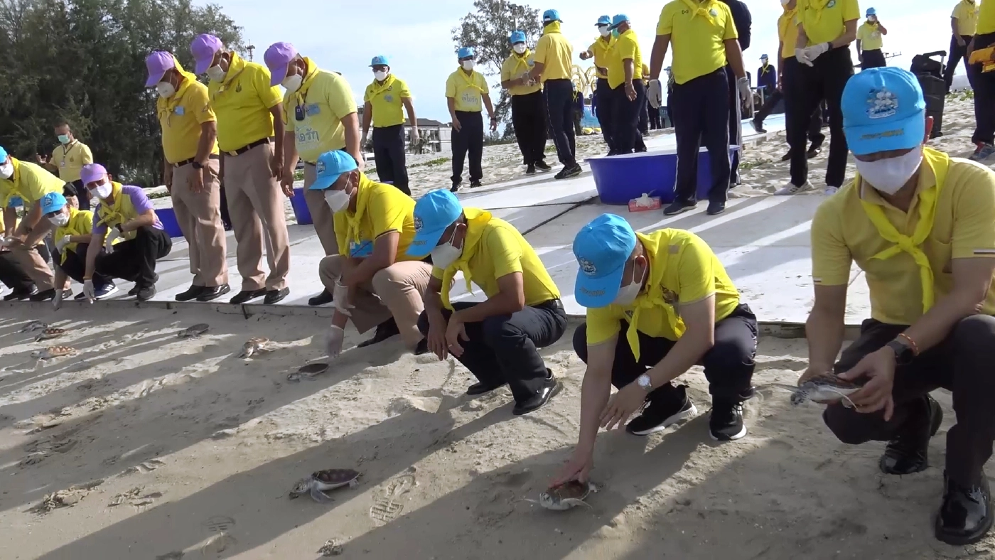 ทัพเรือปล่อยเต่า 89 ตัว "ทำความดีด้วยหัวใจ"