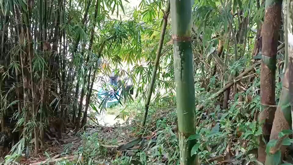 เมียนมาร์อ้างหนีตายเข้าไทย ช่องทางธรรมชาติระนอง
