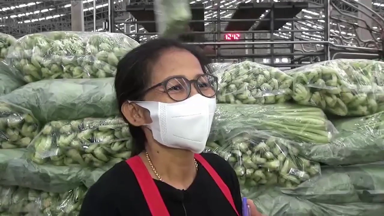 ตลาดสี่มุมเมืองเปิดคลังผักเจ รับเทศกาลกินเจ เข้มมาตรการป้องกันโควิด-19