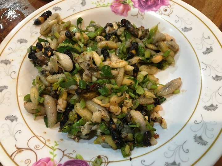 อาชีพเสี่ยงตาย ล้วงรังต่อหัวเสือขายสายเปิบพิสดาร