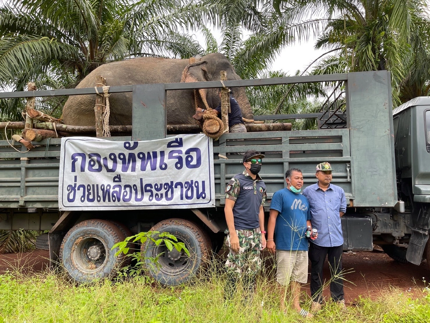 เคลื่อนย้ายช้างป่า "พลายงาเก" ถึงเขตรักษาพันธุ์สัตว์ป่าเขาอ่างฤาไนแล้ว