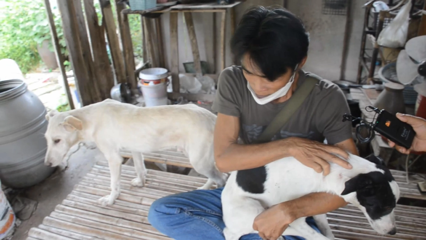 หนุ่มใหญ่แจ้งจับเพื่อนบ้านใช้ปืนอัดลมยิงหมาตาย1เจ็บ3อ้างมากัดไก่