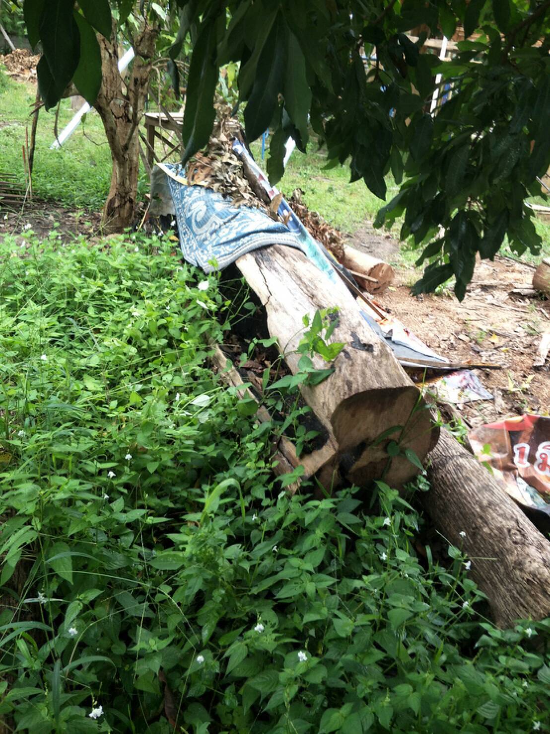สนธิกำลังตรวจสอบโครงสร้างบ้าน-ยึดไม้สัก 25ท่อน
