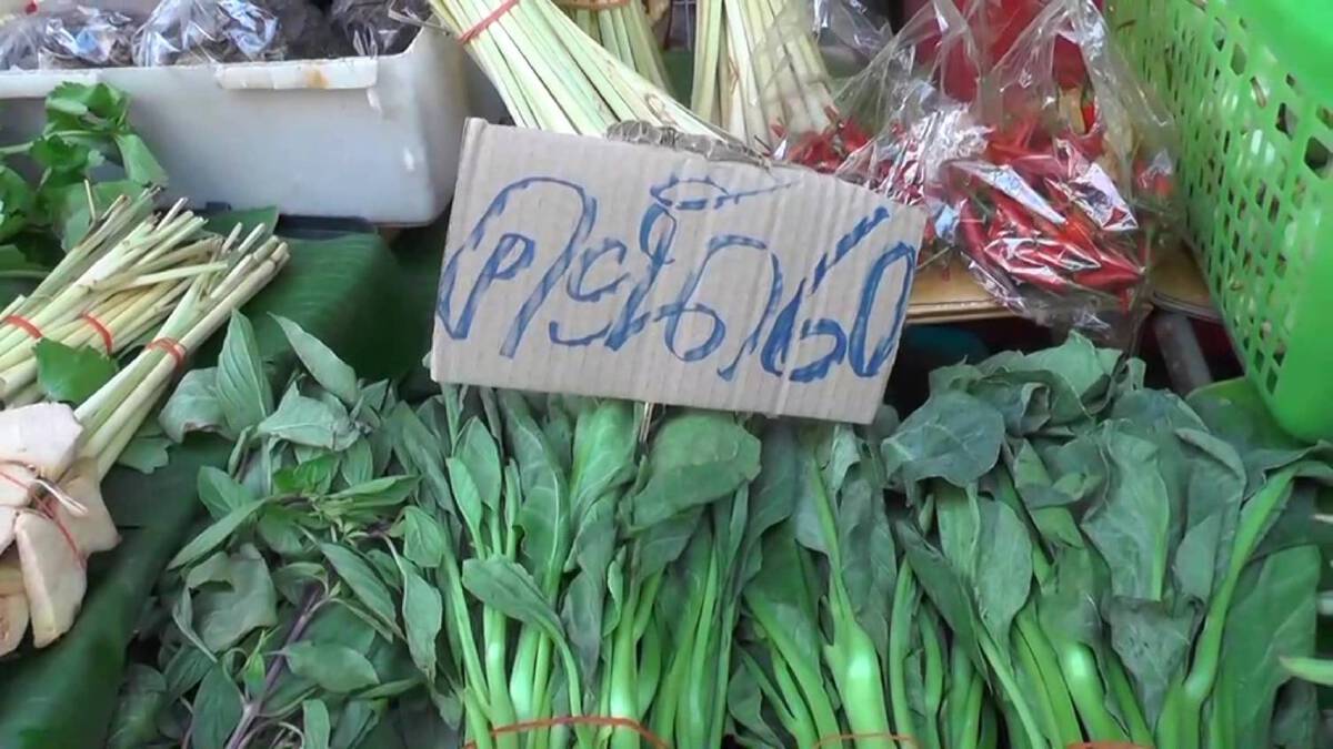 ชัยภูมิกินเจกร่อย ผักราคาพุ่งเท่าตัว