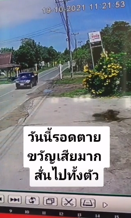 นาทีชีวิต "กระบะเกียร์ R" หวิดถอยทับสาวขี่ จยย.