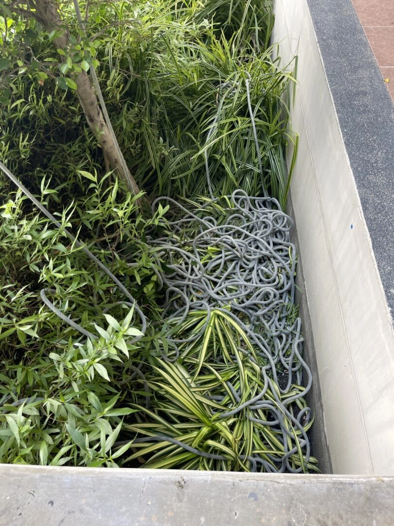 สาววัย34 มือตัดเชือกช่างทาสี พบประวัติชอบโทรป่วนตร.