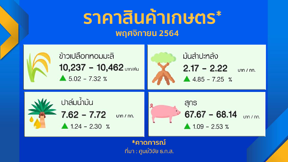 ‘ข้าว-ยางพารา‘ ราคาร่วงเดือนพฤศจิกายน