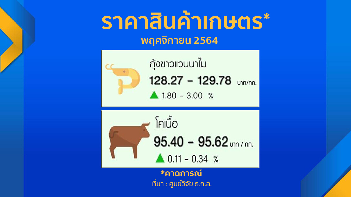 ‘ข้าว-ยางพารา‘ ราคาร่วงเดือนพฤศจิกายน