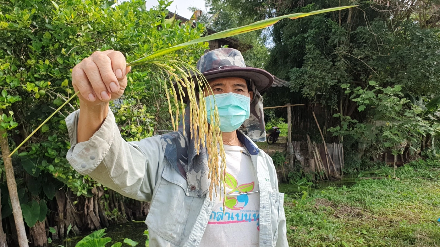 ครม. อนุมัติวงเงิน 5.4 หมื่นล้านบ. พัฒนาคุณภาพผลผลิตเกษตรกร