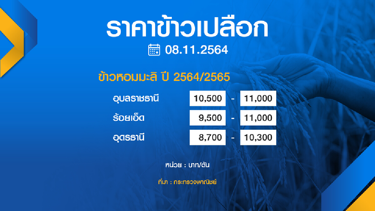 บรรดาโรงสีแย่งซื้อดัน ‘ข้าว‘ ราคาพุ่ง