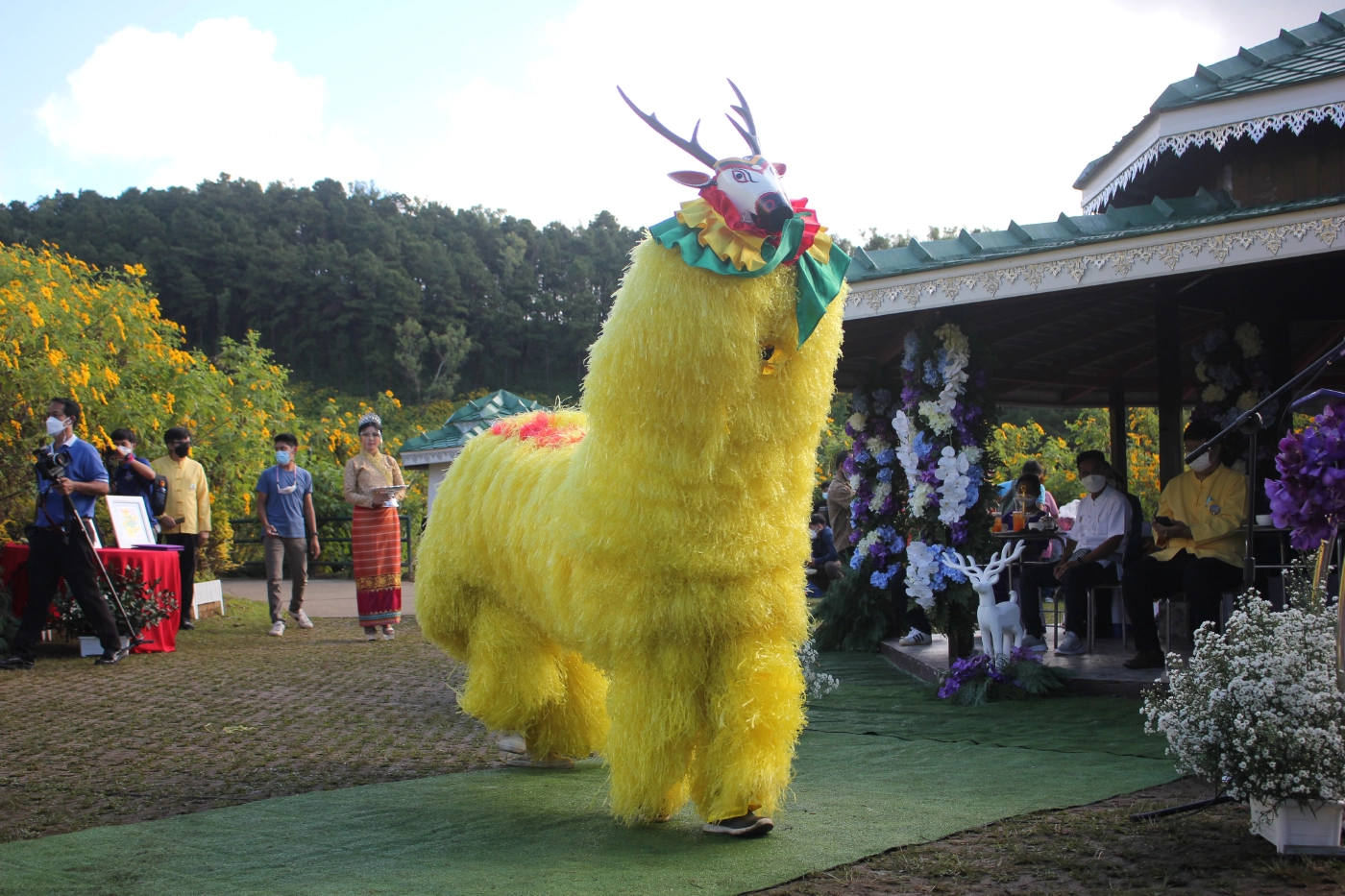 เปิดแล้วเทศกาล"ทุ่งดอกบัวตองบาน"ท่ามกลางคุมเข้มโควิด