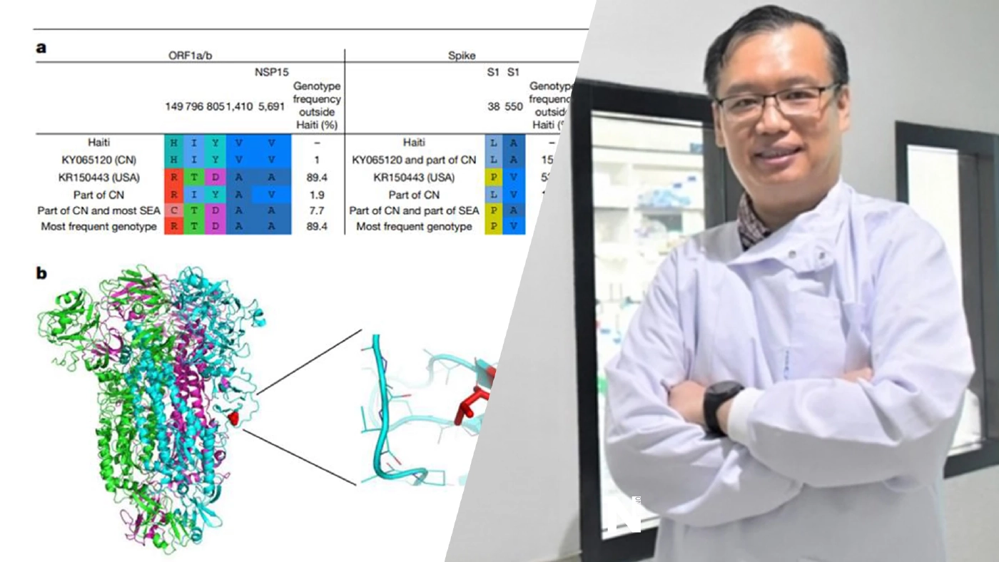 นักไวรัสวิทยา เผยข้อมูลชวนตะลึง ไวรัสโคโรนาในหมูติดสู่คนได้