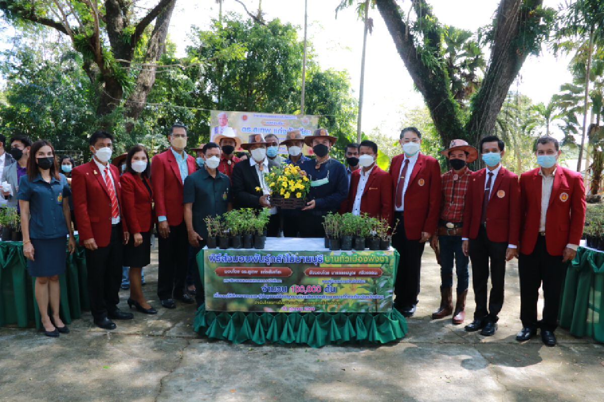 หนุนโครงการ "บานบุรีบานเหลืองทั่งเมืองพังงา" มอบต้นกล้าแสนต้น