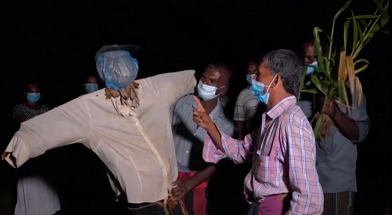 ชาวนาศรีลังกาฉุน  รัฐบาลให้ทำนาแบบไม่มีปุ๋ยเคมี