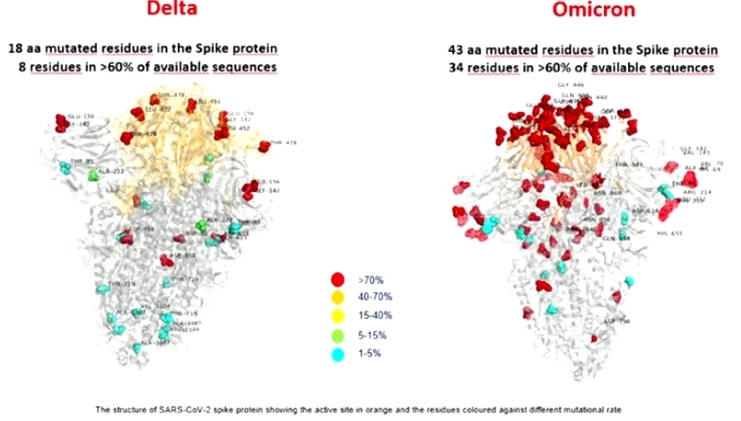WHO ยังไม่ฟันธง "โอไมครอน" แพร่เชื้อง่าย - ป่วยหนักขึ้น รอสรุปอีกครั้ง