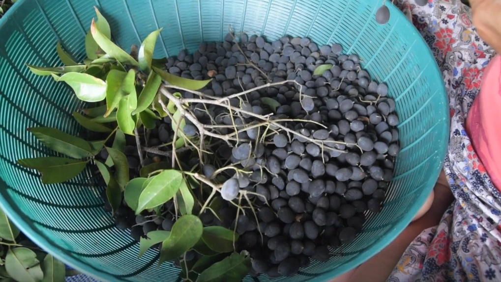 ‘ลูกหยี‘ สร้างงาน สร้างรายได้ชุมชน บ้านหนองแสง