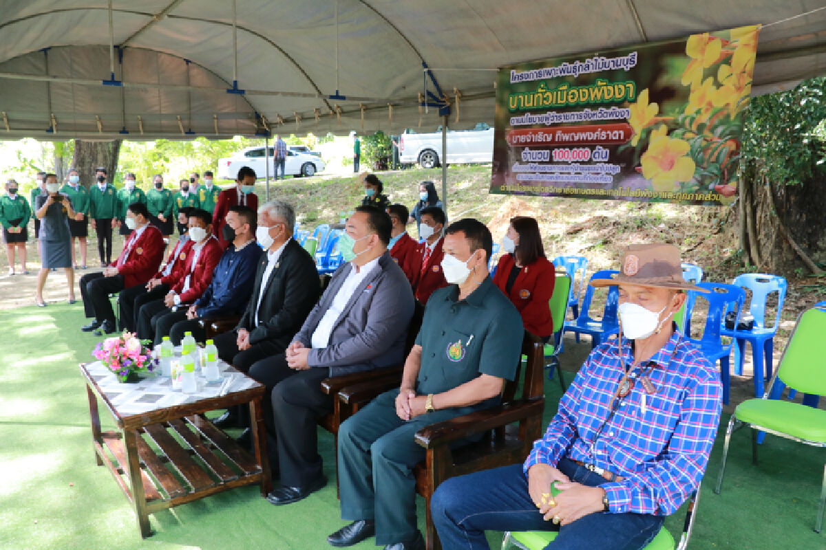 หนุนโครงการ "บานบุรีบานเหลืองทั่งเมืองพังงา" มอบต้นกล้าแสนต้น